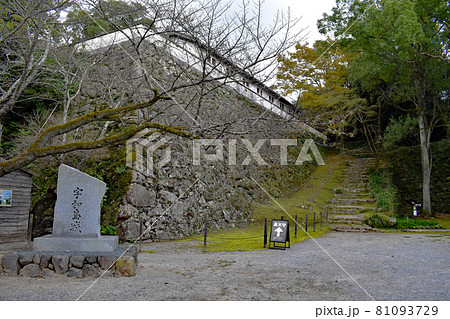愛媛宇和島城(鶴島城、板島丸串城) 81093729