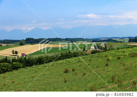 北海道の夏 美瑛、上富良野の風景 北海道の夏 美瑛、上富良野の風景 81093982