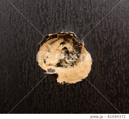 Damaged table top Damaged table top 81094372
