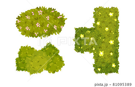 Top view of green hedges of different shapes set. Park and garden decorative elements, summer landscape design cartoon vector illustration Top view of green hedges of different shapes set. Park and garden decorative elements, summer landscape design cartoon vector illustration 81095389