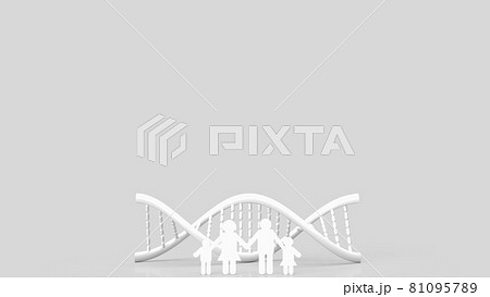white dna and family paper cut on white background for science or medical concept 3d rendering white dna and family paper cut on white background for science or medical concept 3d rendering 81095789