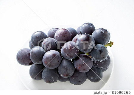 ぶどう(種なし巨峰)。(白バック) ぶどう(種なし巨峰)。(白バック) 81096269