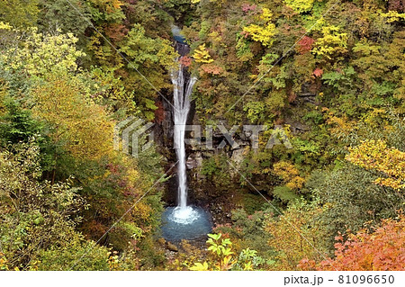 紅葉の那須高原駒止の滝 紅葉の那須高原駒止の滝 81096650