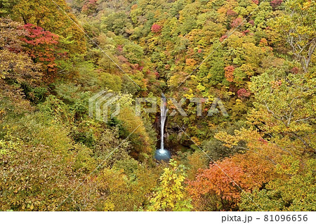 紅葉の那須高原駒止の滝 81096656