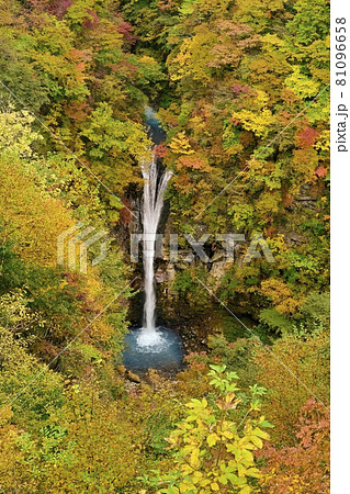 紅葉の那須高原駒止の滝 紅葉の那須高原駒止の滝 81096658