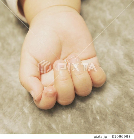 小さな掌 小さな掌 81096993