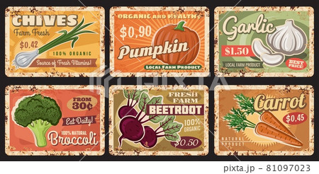 Farm vegetables rusty plates, vector veggie food 81097023