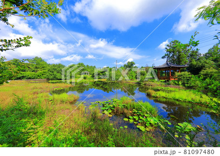貯水池 池 風景 81097480