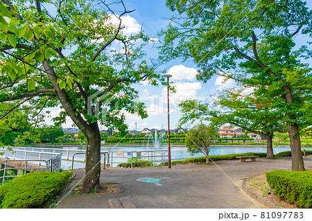 尾張旭市城山公園の長池 愛知県尾張旭市 の写真素材