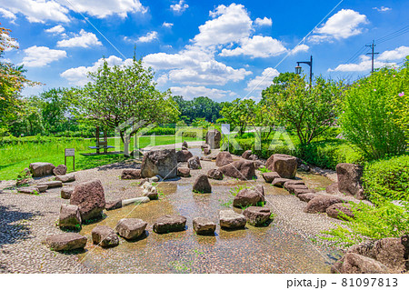 尾張旭市城山公園の長池 愛知県尾張旭市 の写真素材