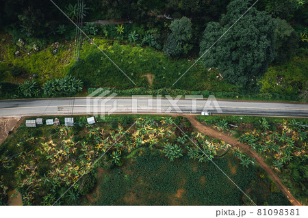 Mountain road in rainy and foggy day Mountain road in rainy and foggy day 81098381