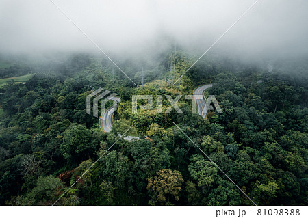 Mountain road in rainy and foggy day 81098388