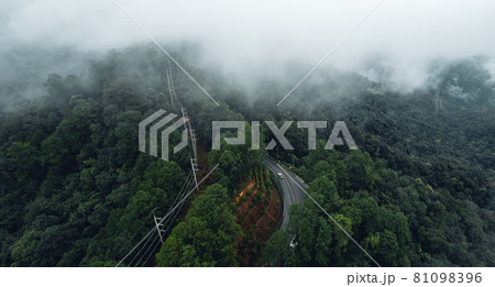 Mountain road in rainy and foggy day 81098396