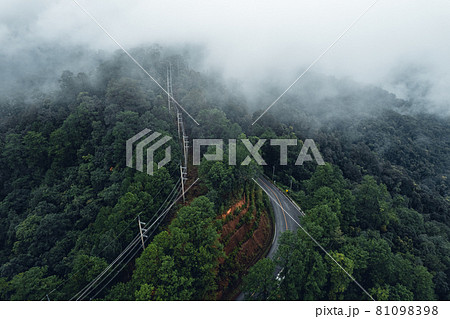 Mountain road in rainy and foggy day 81098398