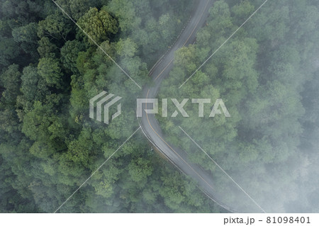 Mountain road in rainy and foggy day 81098401