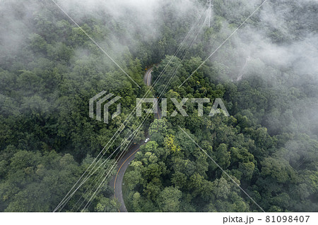 Mountain road in rainy and foggy day 81098407