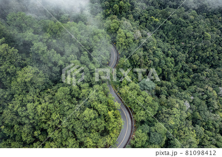 Mountain road in rainy and foggy day 81098412