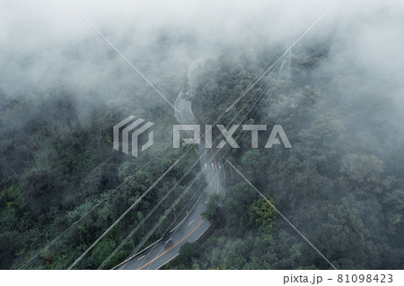 Mountain road in rainy and foggy day 81098423