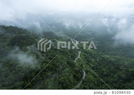 Mountain road in rainy and foggy day 81098430