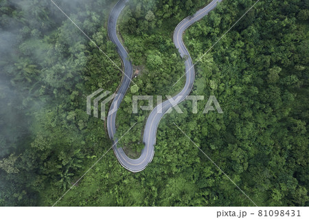 Mountain road in rainy and foggy day Mountain road in rainy and foggy day 81098431