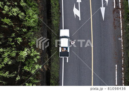 Mountain road in rainy and foggy day Mountain road in rainy and foggy day 81098436