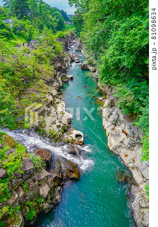 厳美渓の渓谷 岩手県一関市 厳美渓の渓谷 岩手県一関市 81098634
