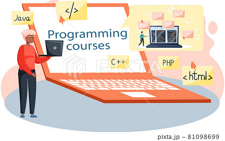 Programming courses online education, coding learning. Information technology training session 81098699