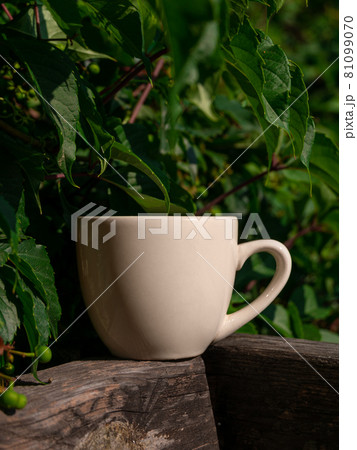 White porcelain tea cup on the wooden balcony green wild grapes background. Warm healthy herbal drink.Weekend breakfast. 81099070