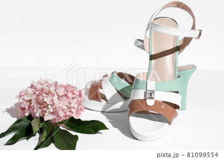 female high heel shoes on white floor and pink hydrangea flowers. mother's day, birthday or holiday party concept. front view of pastel colored shoes. 81099554