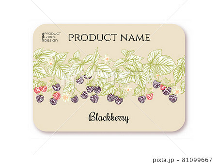 Raspberry. Ripe berries on branch. Template for product label Raspberry. Ripe berries on branch. Template for product label 81099667