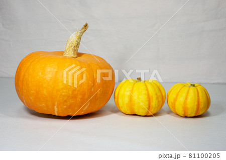 ハロウィン用にかぼちゃの加工用素材を撮影の写真素材
