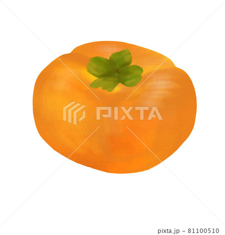 柿 イラストのイラスト素材