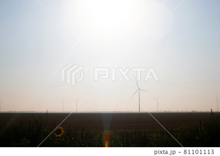 Windmills in the fog near a field of sunflowers. Early morning. See the movement of the blades, as a strong wind is blowing. Wind turbine are installed at different distances and hidden in the fog Windmills in the fog near a field of sunflowers. Early morning. See the movement of the blades, as a strong wind is blowing. Wind turbine are installed at different distances and hidden in the fog 81101113