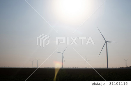 Windmills in the fog near a field of sunflowers. Early morning. See the movement of the blades, as a strong wind is blowing. Wind turbine are installed at different distances and hidden in the fog Windmills in the fog near a field of sunflowers. Early morning. See the movement of the blades, as a strong wind is blowing. Wind turbine are installed at different distances and hidden in the fog 81101116