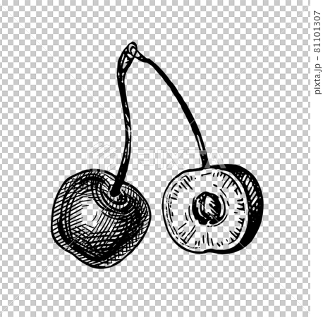 Cherry ink sketch. 81101307