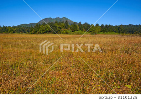 秋の尾瀬 尾瀬沼ビジターセンター付近から大江湿原、燧ヶ岳方面を見る 81101328