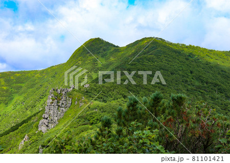 北海道の夏　藻琴山山頂への道 81101421