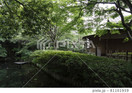 星溪園（埼玉県熊谷市） 81101939