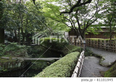 星溪園(埼玉県熊谷市) 星溪園(埼玉県熊谷市) 81101945