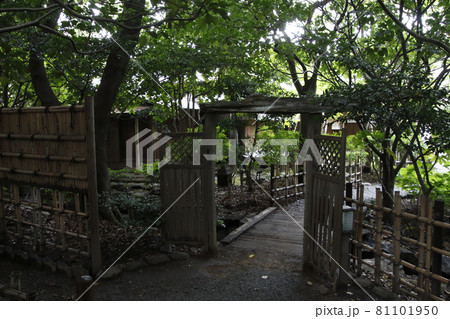 星溪園（埼玉県熊谷市） 81101950
