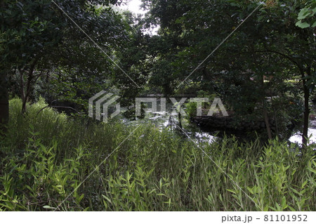 星溪園(埼玉県熊谷市) 星溪園(埼玉県熊谷市) 81101952