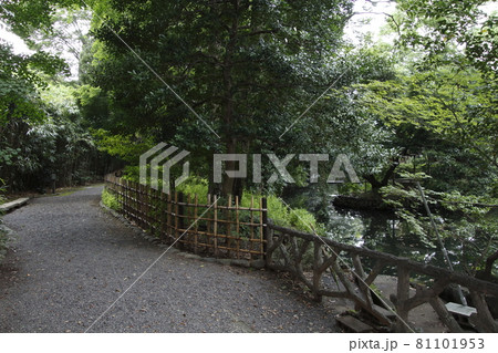 星溪園(埼玉県熊谷市) 星溪園(埼玉県熊谷市) 81101953