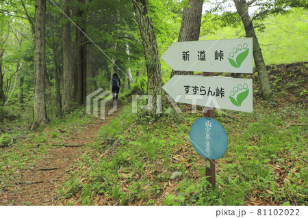 芦川のすずらん群生地 看板 芦川のすずらん群生地 看板 81102022