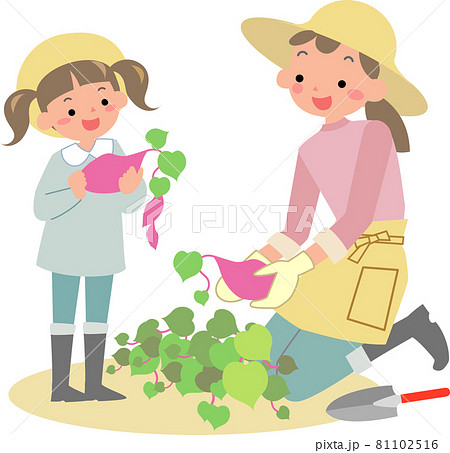 芋掘りをする女の子と母親のイラスト素材