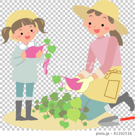芋掘りをする女の子と母親 芋掘りをする女の子と母親 81102516