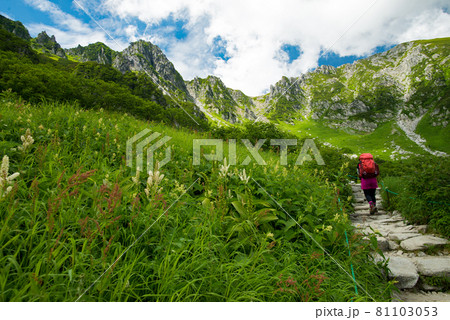 千畳敷カールの登山道 81103053