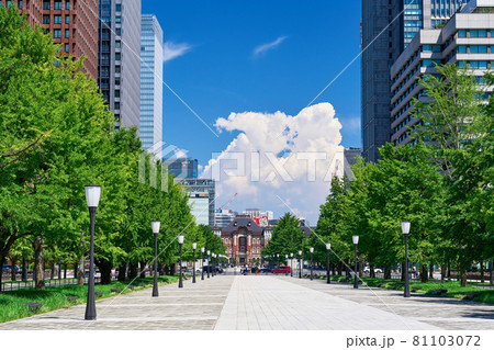 東京 丸の内のビジネス街の風景 東京 丸の内のビジネス街の風景 81103072
