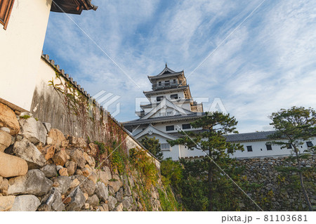 愛媛 今治城の風景 81103681