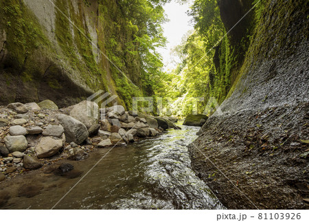 由布川渓谷 大分観光スポット 人気観光スポット 九州旅行 マイナスイオン 由布川渓谷 大分観光スポット 人気観光スポット 九州旅行 マイナスイオン 81103926