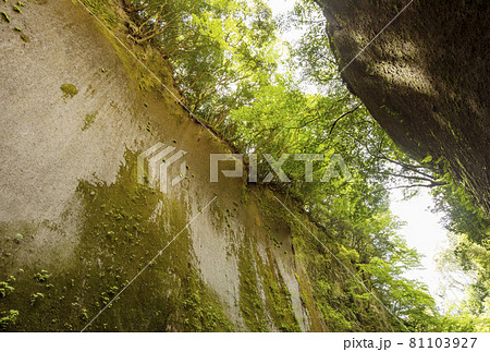 由布川渓谷の風景 大分観光スポット 人気観光スポット 九州旅行 マイナスイオンあふれる渓谷 由布川渓谷の風景 大分観光スポット 人気観光スポット 九州旅行 マイナスイオンあふれる渓谷 81103927